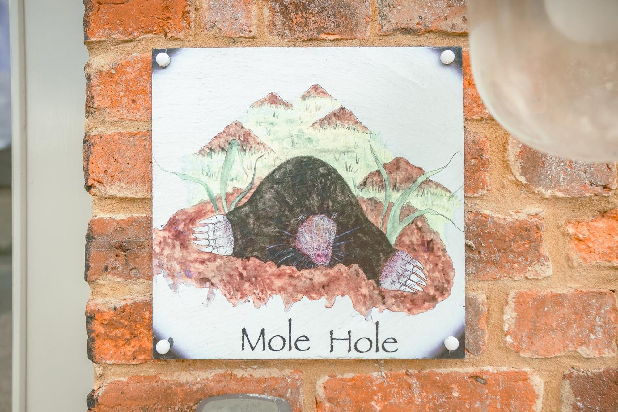 Mole Hole Apartment Тоустър Екстериор снимка